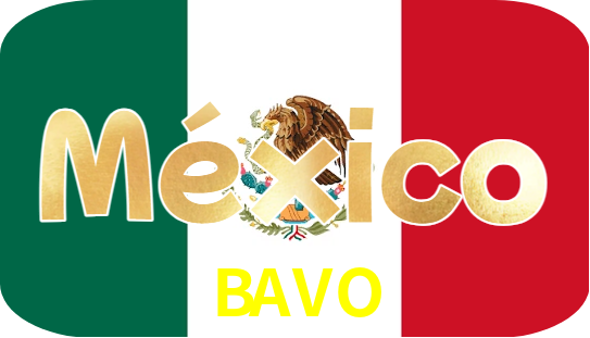 BAVO Logo